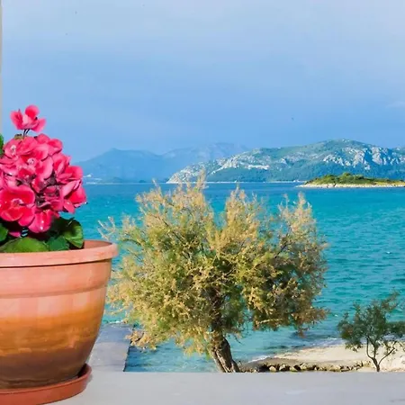 Prázdninový dům Sea View Peljesac